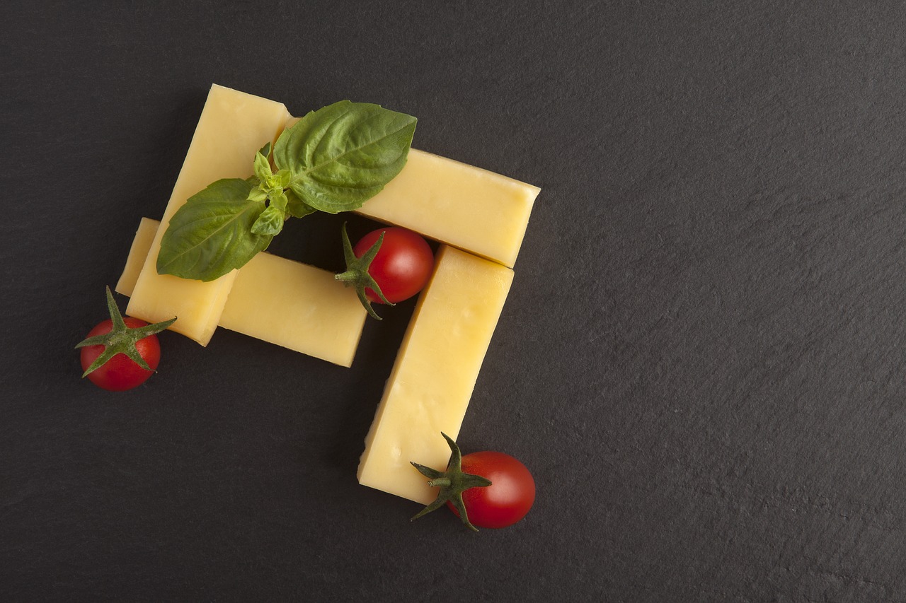 a piece of cheese with tomatoes and basil on top, shutterstock, bauhaus, dark bacgkground, catalog photo, detailed product photo