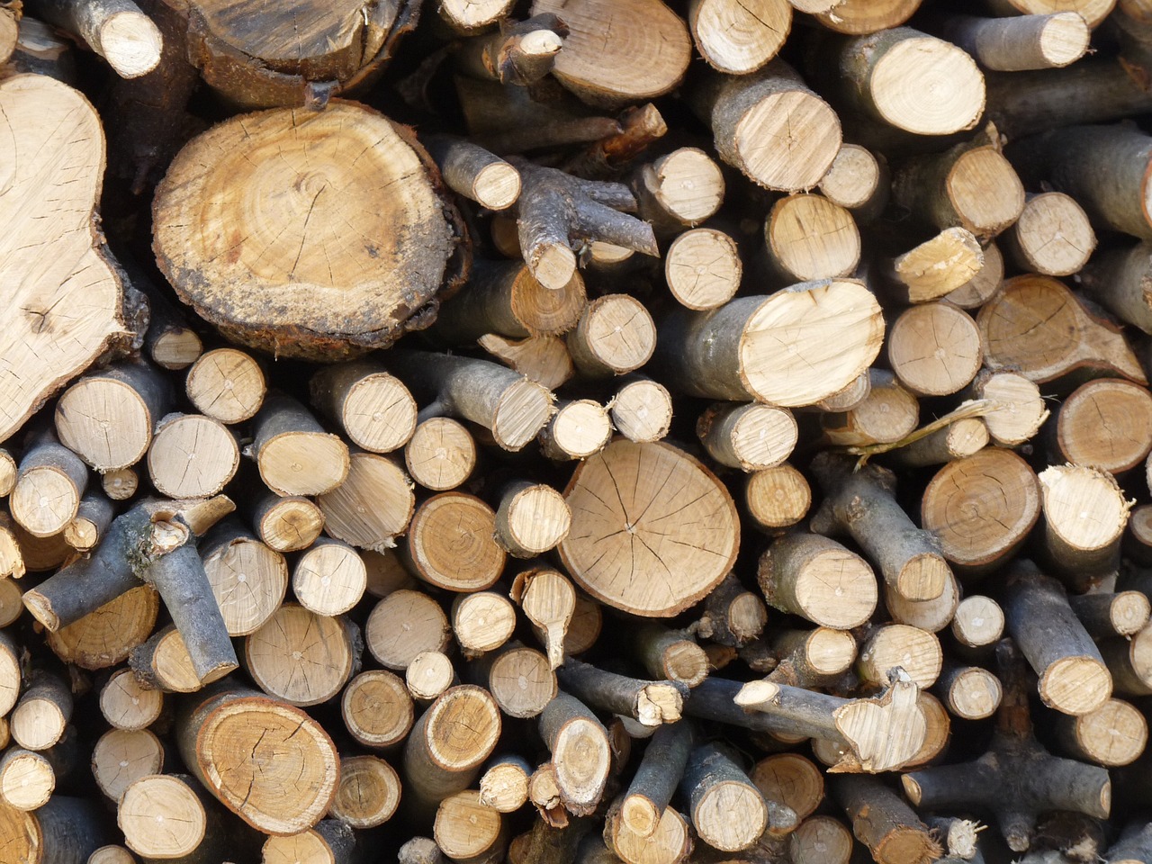 a pile of wood sitting next to each other, a screenshot, inspired by James Wood, shutterstock, woodfired, wallpaper - 1 0 2 4, loosely cropped, woodland backround