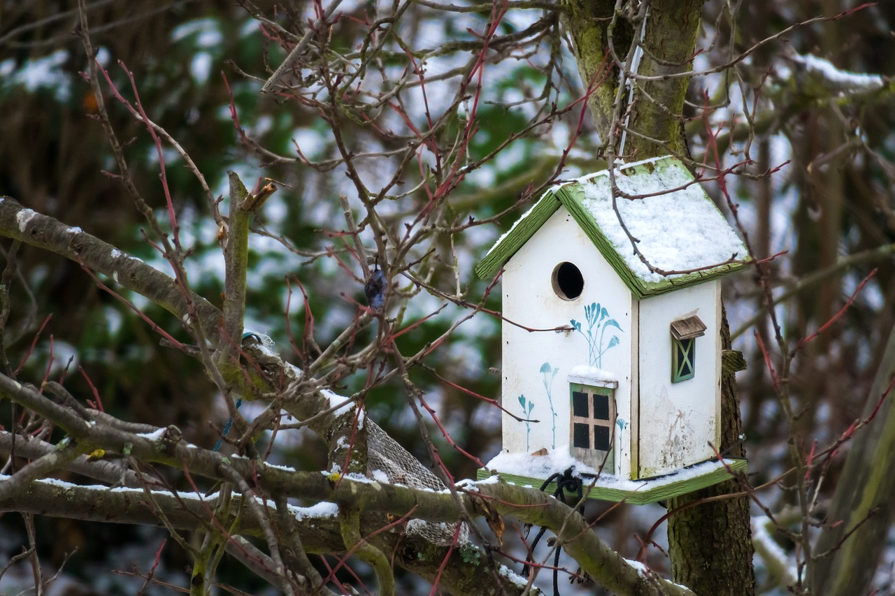 a bird house sitting on top of a tree branch, a photo, inspired by Tove Jansson, trending on pixabay, folk art, against a winter garden, green and white, tiny house, wallpaper - 1 0 2 4
