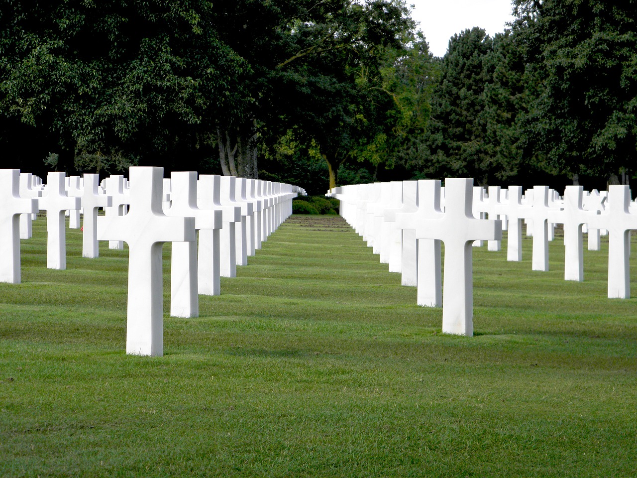 a field of white crosses with trees in the background, by Robert Jacobsen, flickr, d-day, usa-sep 20, memphis, minimalist