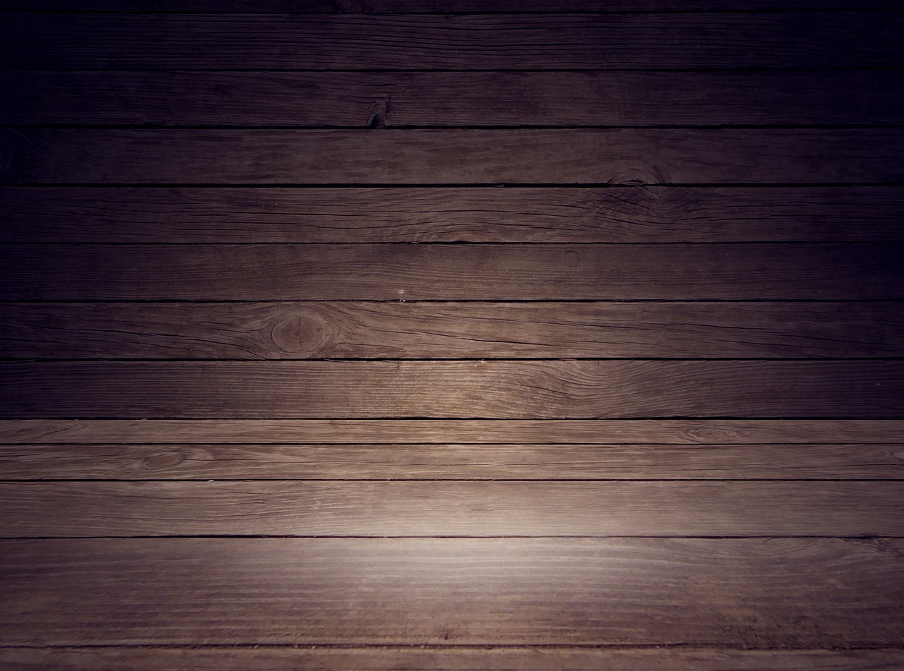 a wooden floor with a light shining on it, by Alexander Mann, shutterstock, minimalism, dark background ”, pallet, 17th-century, educational