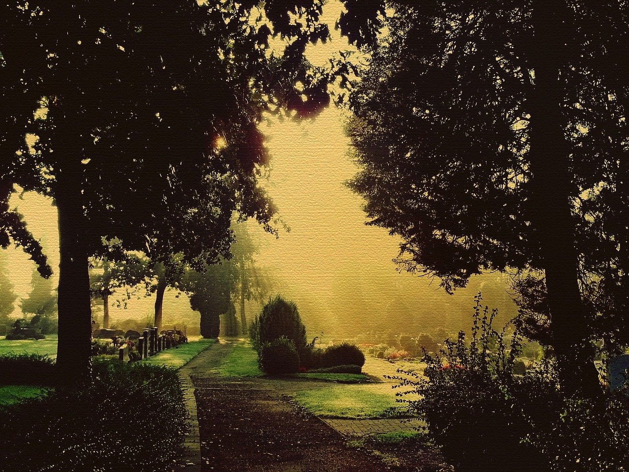 the sun is shining through the trees in the park, inspired by Henri Biva, flickr, tonalism, misty alleyways, beautiful screenshot, in a park and next to a lake, golden mist
