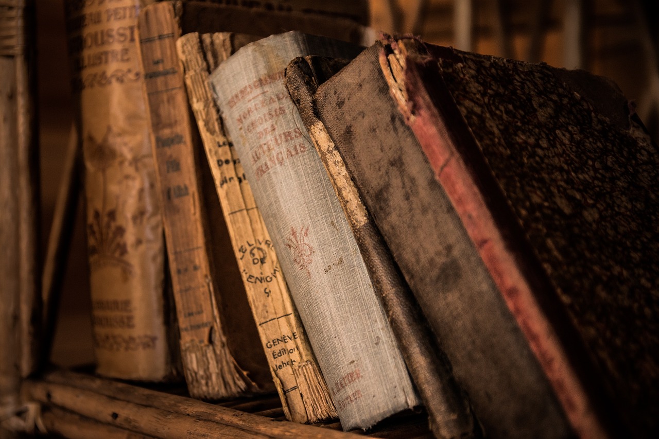 a pile of old books sitting on top of a wooden shelf, by Alexander Bogen, pexels, weathered artifacts, read a directory book, screengrab, up close image