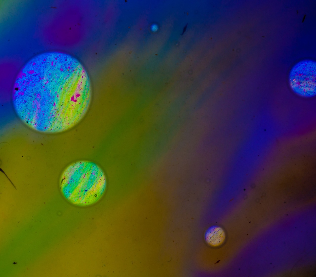 a bunch of bubbles floating on top of a body of water, a microscopic photo, by Jan Rustem, color spectrum refraction, oil on canvas 4k, scientific photo, universe in a grain of sand