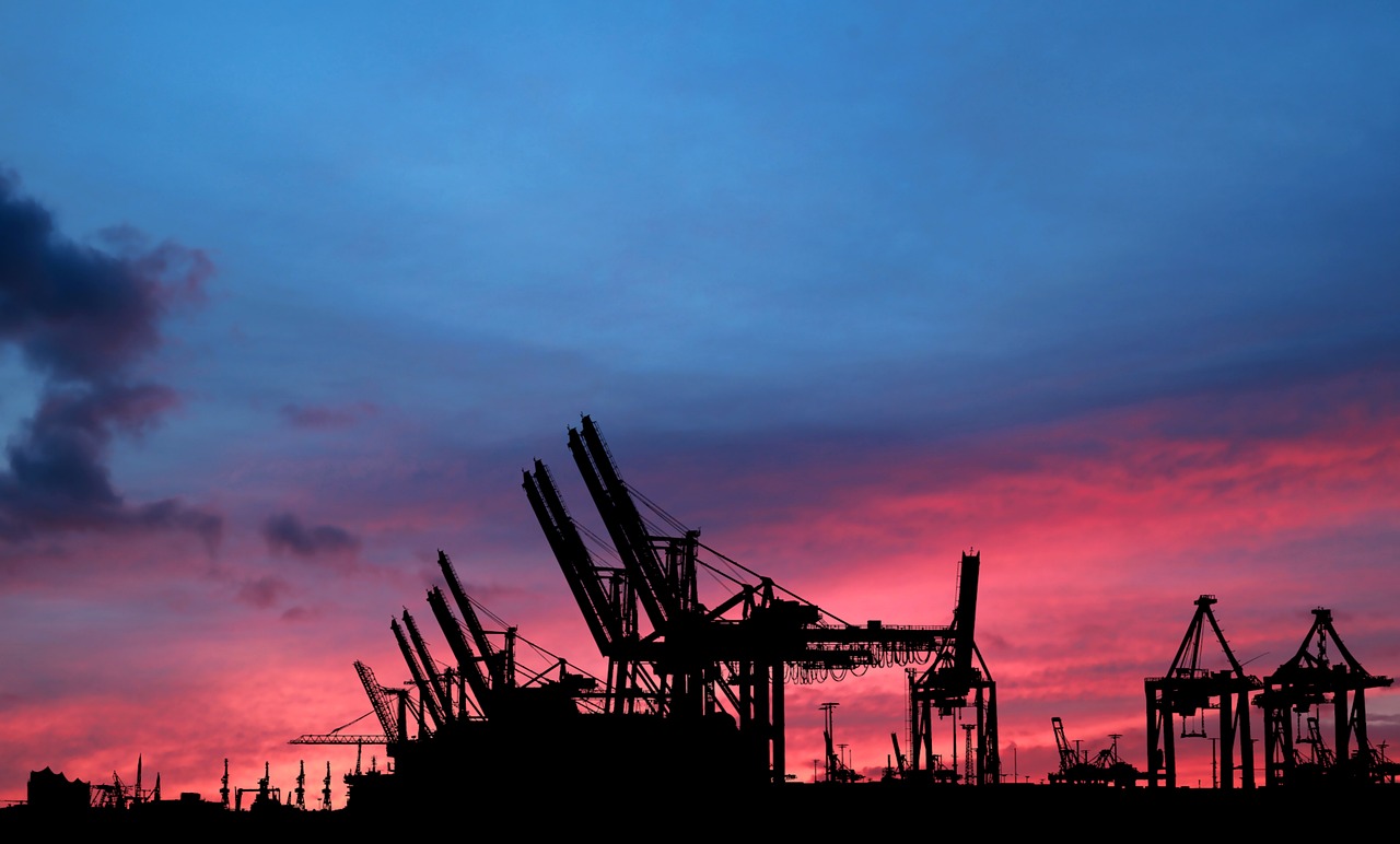 a group of cranes sitting on top of a lush green field, by Werner Gutzeit, flickr, shipping docks, redpink sunset, silhouette!!!, blue sunset