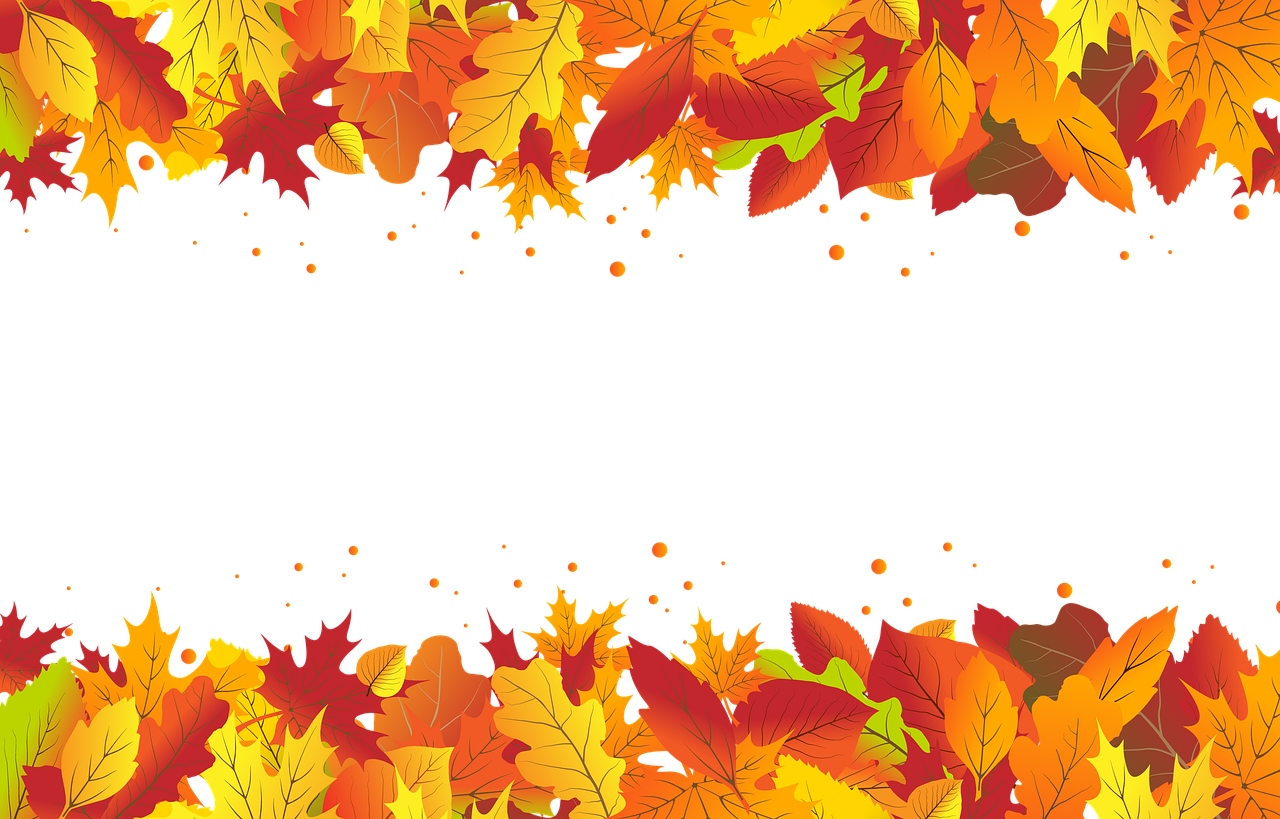 a group of autumn leaves on a black background, a cartoon, sōsaku hanga, background depth, bright uniform background, rectangular, resources background