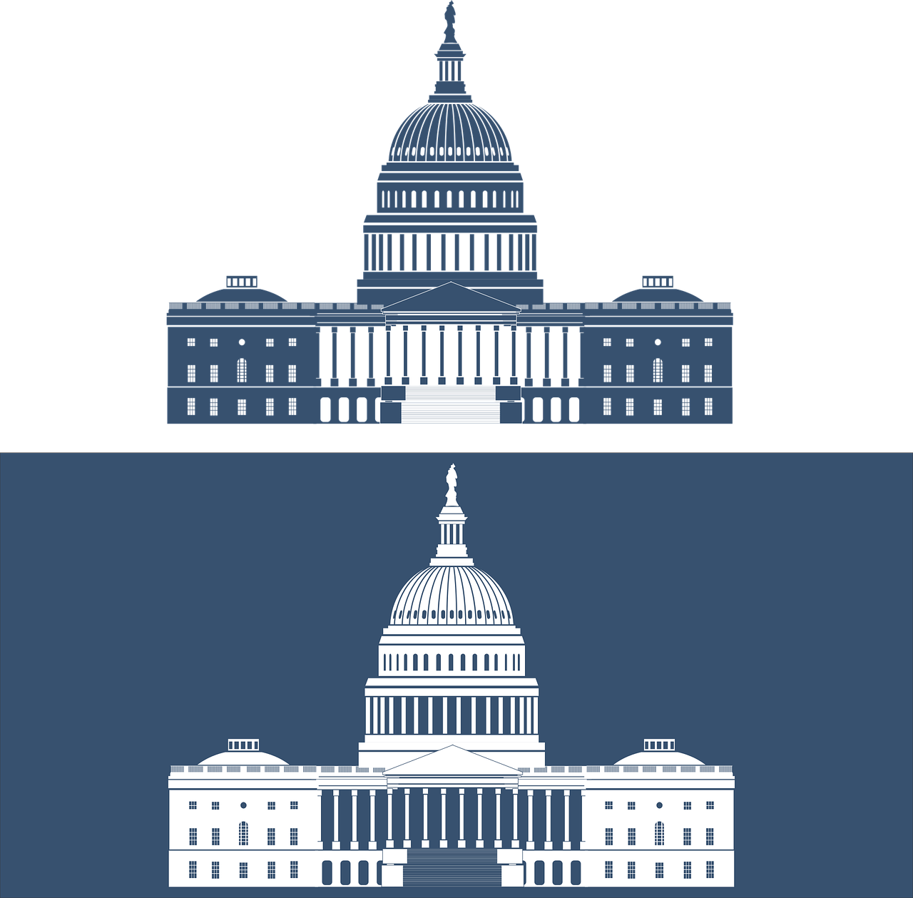 a picture of the united states capitol building, a digital rendering, 2 colors, simplified forms, half image, stark contrast