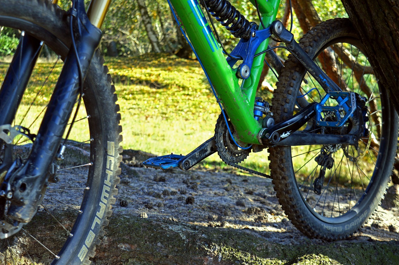 a close up of a bike parked next to a tree, by Aleksander Gierymski, flickr, blue and green colours, detailed close foot shot, ligjt trail, mechanised