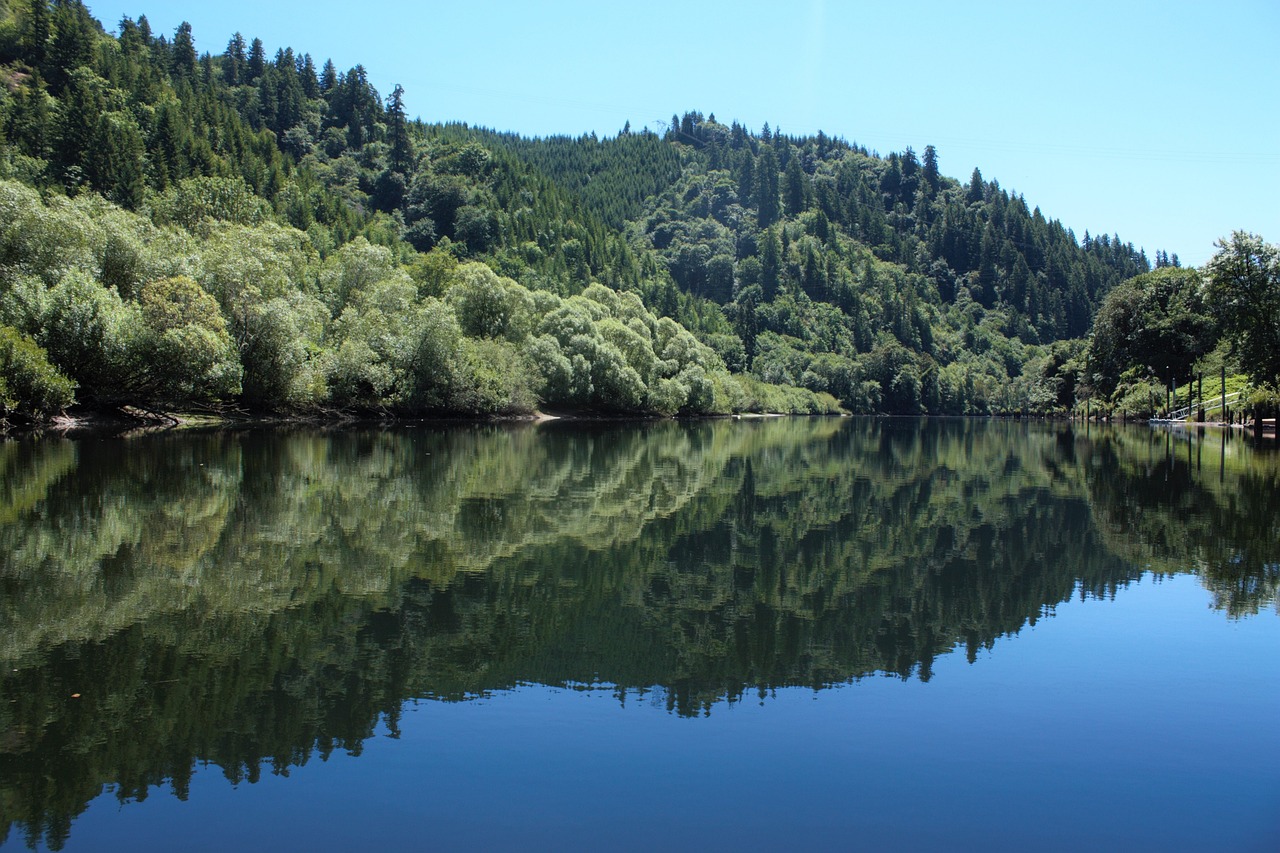 a large body of water surrounded by trees, a photo, by Anson Maddocks, flickr, hurufiyya, napa, smooth reflections, kahikatea, istock