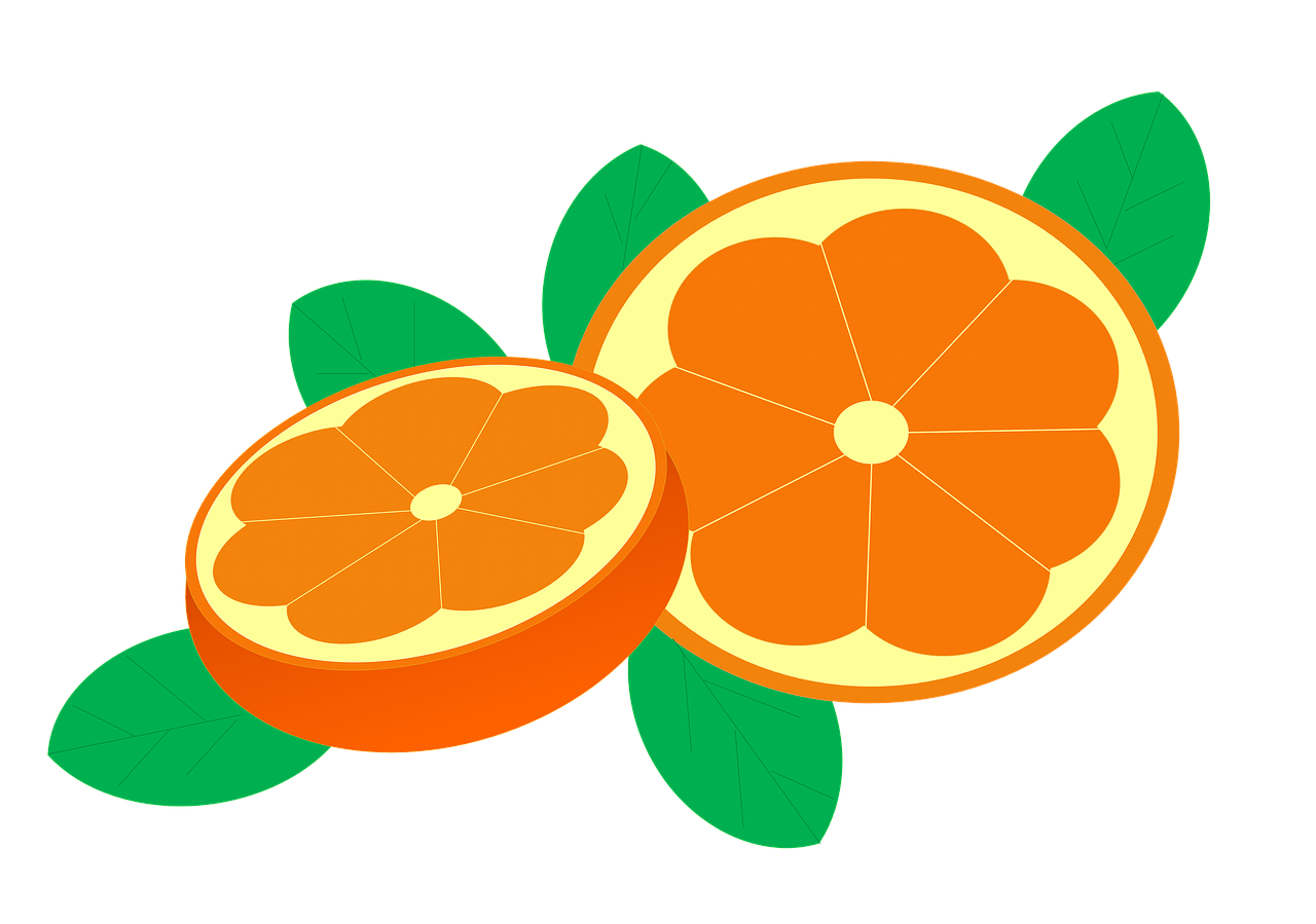 a couple of oranges sitting next to each other, an illustration of, by Taiyō Matsumoto, trending on pixabay, sōsaku hanga, on a flat color black background, slice - of - life, full color illustration, leaf