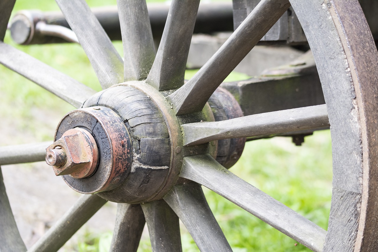 a close up of a wooden wagon wheel, a portrait, by Alexander Fedosav, shutterstock, stock photo, side view close up of a gaunt, technical, video