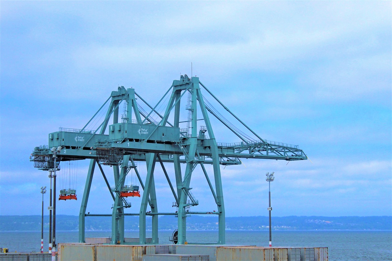 a large crane sitting on top of a body of water, flickr, vallejo, terminal, an intricate, arbor