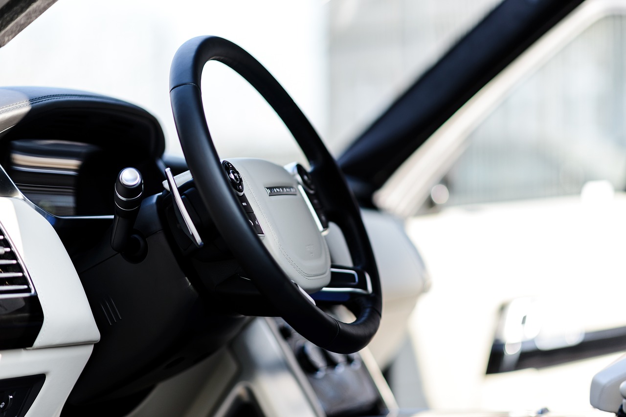 a close up of a steering wheel in a car, a picture, by Thomas Häfner, luxurious environment, with a white muzzle, photo taken in 2018, smooth detailed