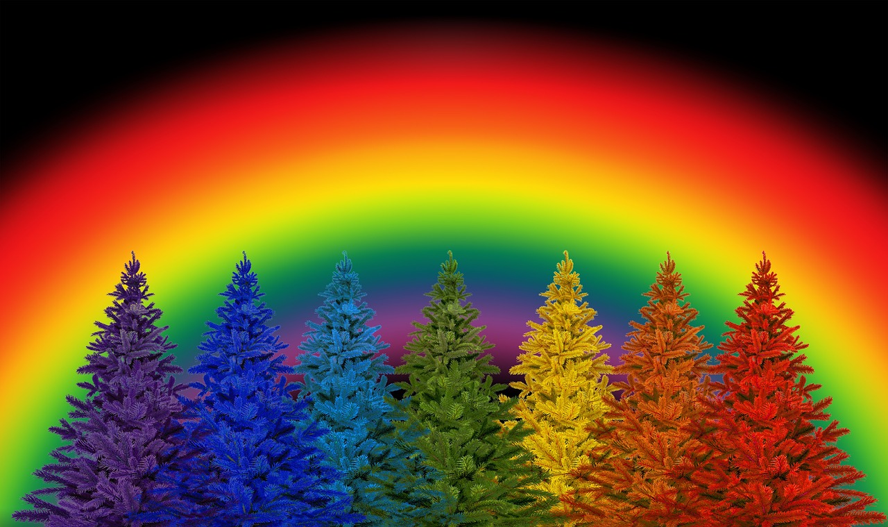 a group of trees with a rainbow in the background, a raytraced image, christmas tree, evergreen forest, gay pride, very accurate photo