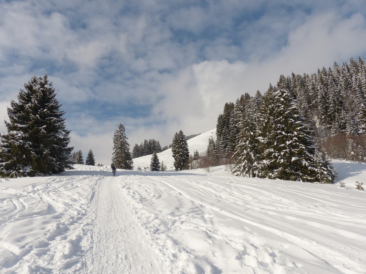 a man riding a snowboard down a snow covered slope, a picture, pixabay, les nabis, fir trees, road, sparse winter landscape, wikimedia commons