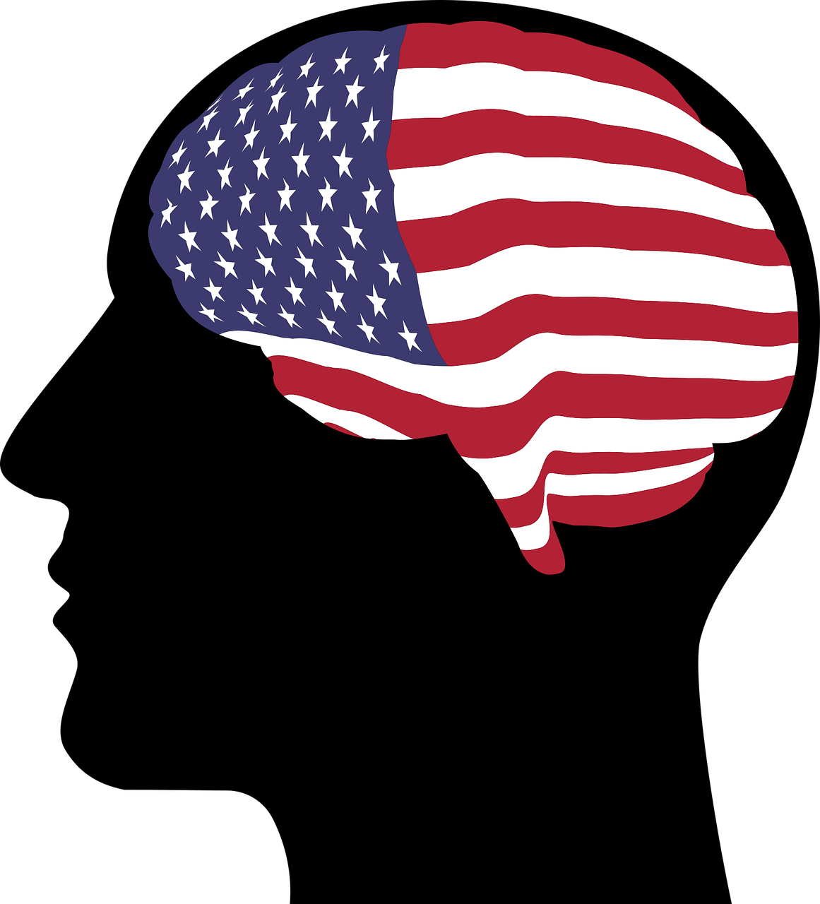 an american flag in the shape of a brain, by Adam Chmielowski, digital art, black, paul rand, floating, maga