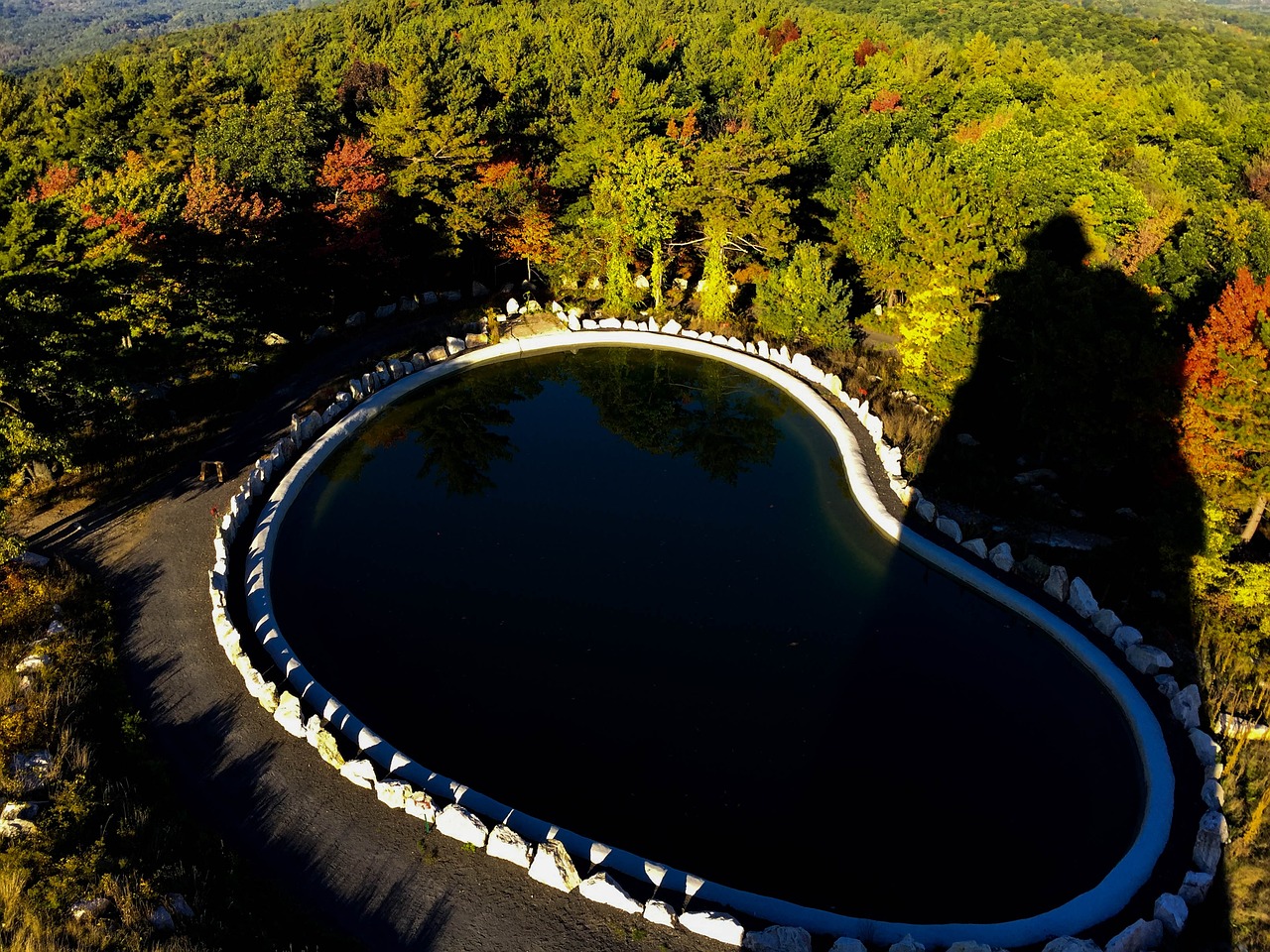 a heart shaped pond in the middle of a forest, infinity concentric pool, shadowy, wall, shot from 5 0 feet distance