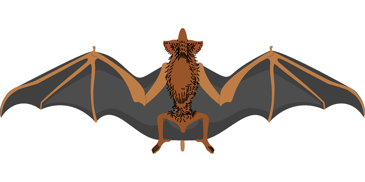 a close up of a bat on a white background, an illustration of, by Allen Jones, pixabay, art nouveau, hairy orange body, seated, female humanoid creature, !!! very coherent!!! vector art