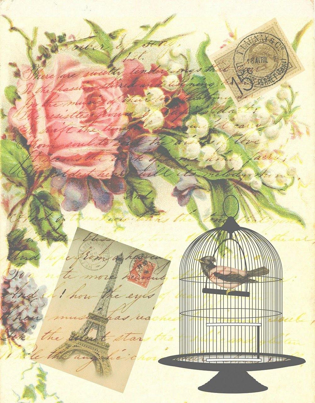 a birdcage sitting on top of a table next to a bunch of flowers, inspired by Martina Krupičková, romanticism, scrapbook paper collage, 1128x191 resolution, writings, in paris