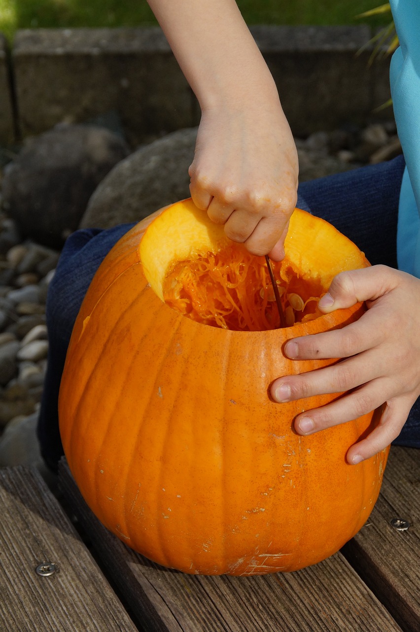 a child is peeling the inside of a pumpkin, warts, photograph credit: ap, outdoor photo, closeup photo