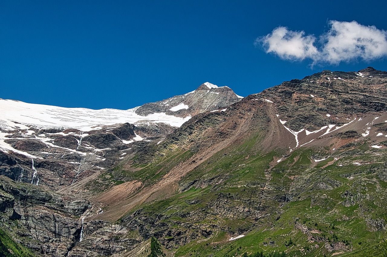 a group of sheep standing on top of a lush green hillside, by Werner Andermatt, flickr, with a snowy mountain and ice, blue glacier, gigapixel photo, seen from a distance