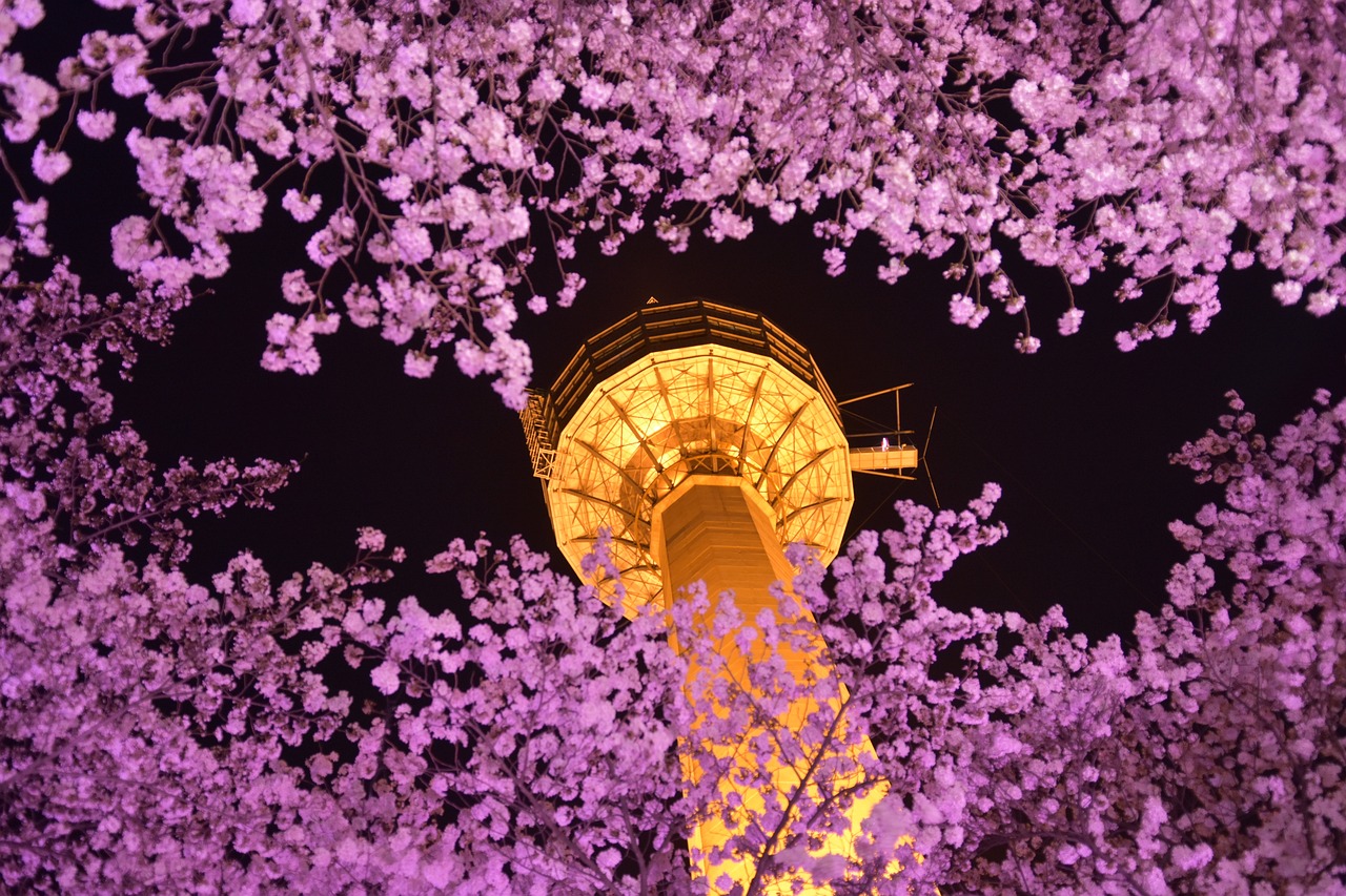a view of the eiffel tower through the trees, by Jon Coffelt, flickr, romanticism, flowing sakura silk, seoul, purple color lighting, pillar