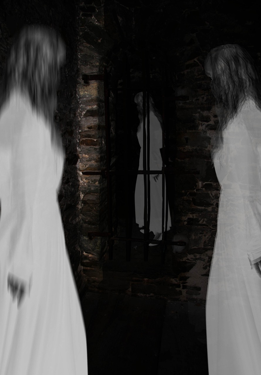 two ghostly women standing in front of a window, inspired by Kati Horna, pixabay, walking out of a the havens gate, in a long white dress, photo illustration, nightmarish illustration