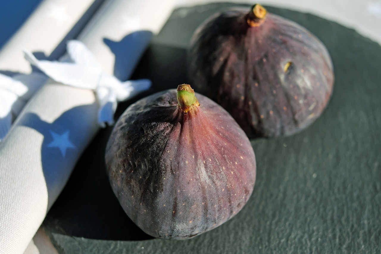 a couple of figs sitting on top of a table, a portrait, by François Girardon, pixabay, with round face, slate, in detail, velvet