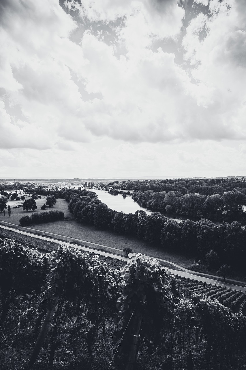 a black and white photo of a country road, by Karl Buesgen, pexels, visual art, bird's eye view of a city, river of wine, royal garden landscape, shot on iphone 6