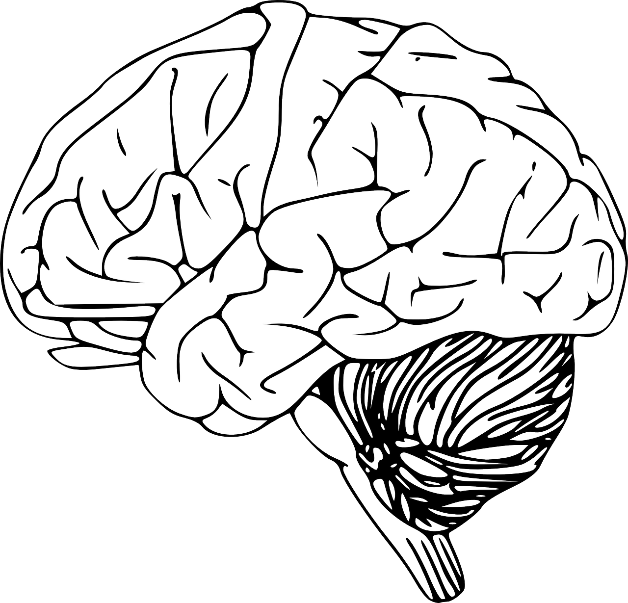 a black and white drawing of a brain, an illustration of, hurufiyya, line vector art, half body photo, full body profile, intelligent man