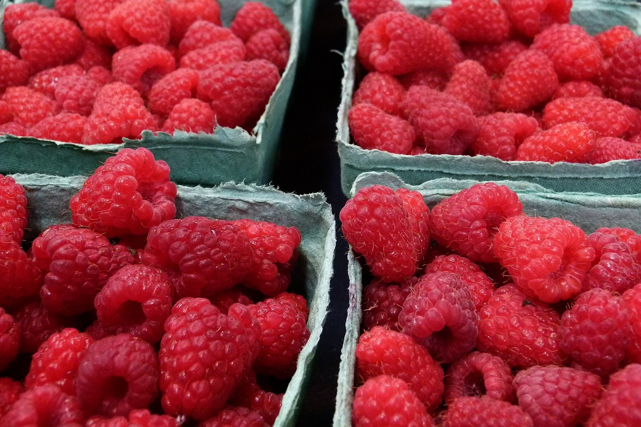 a close up of baskets of raspberries on a table, by Jon Coffelt, precisionism, file photo, bottom angle, wikipedia, chicago