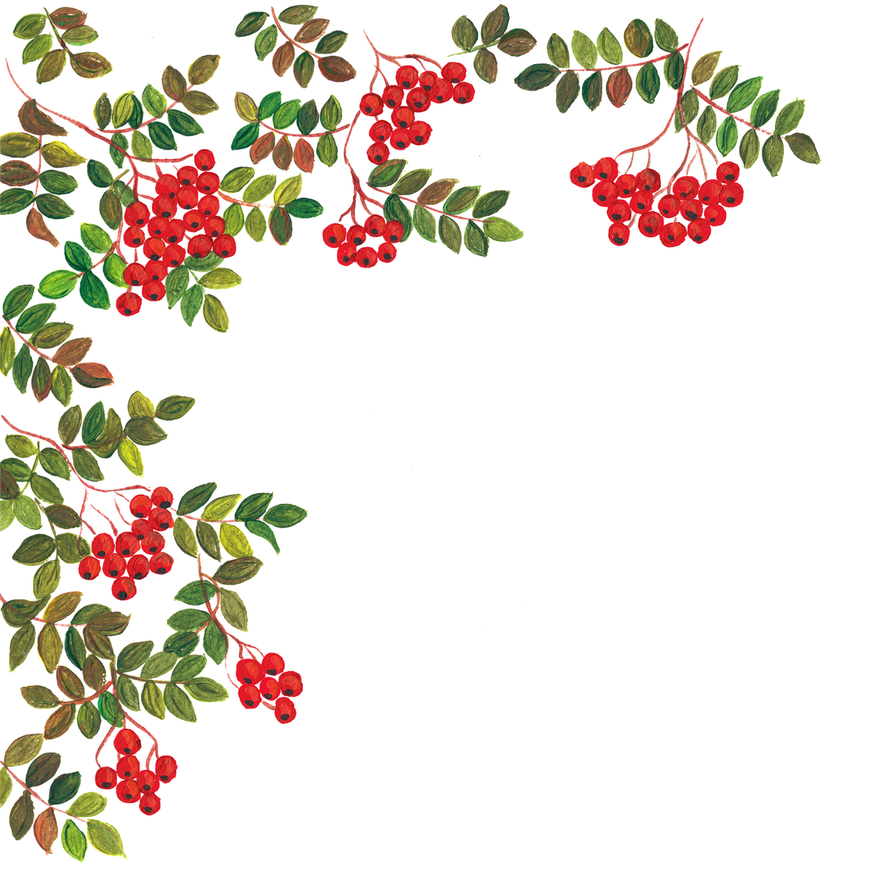 a branch of red berries with green leaves, a digital rendering, by Ayako Rokkaku, tumblr, art deco, night black sky background, fancily decorated flamboyant, shishkin, cut