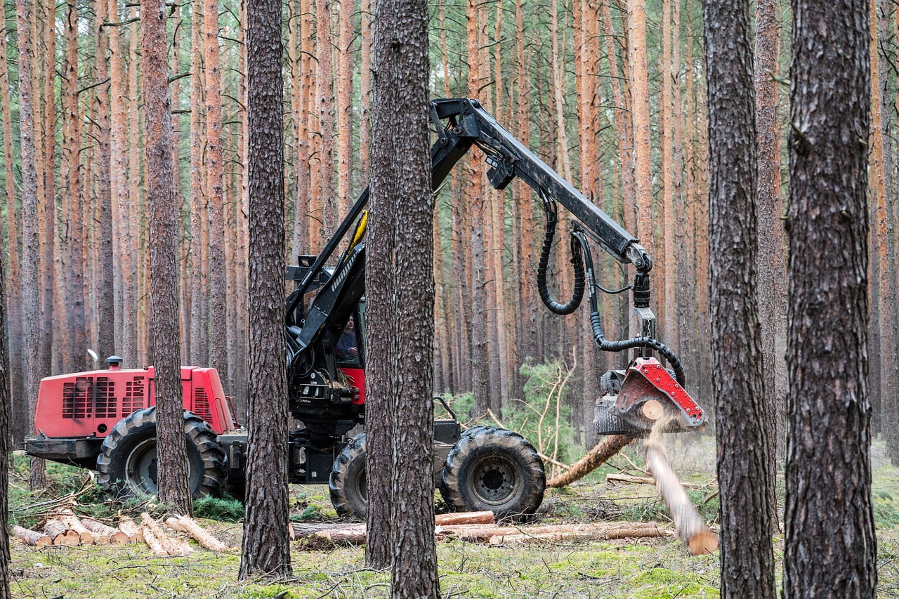 a man using a chainsaw to cut down a tree, by Dietmar Damerau, shutterstock, hurufiyya, heavy machinery, it has a red and black paint, swedish forest, crane