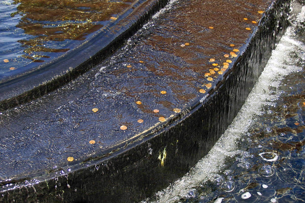 a close up of a fountain with coins in it, by Jan Rustem, flickr, touches of gold leaf, canal, hamar, plant sap