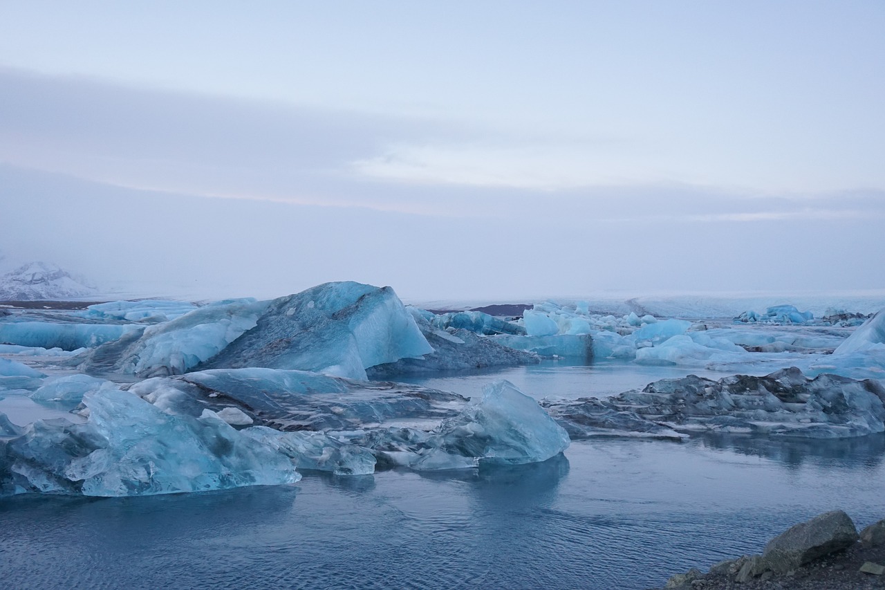 icebergs floating on a river during the day