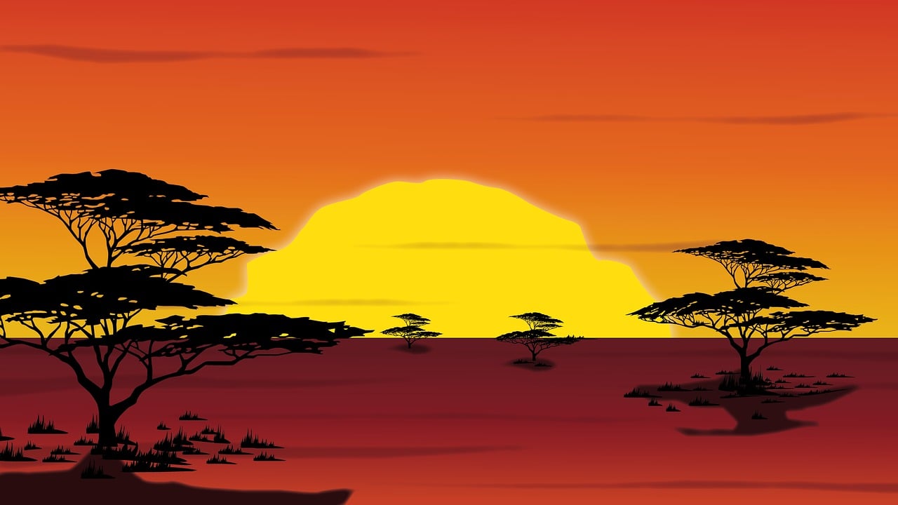a red sunset with silhouetted trees in the distance