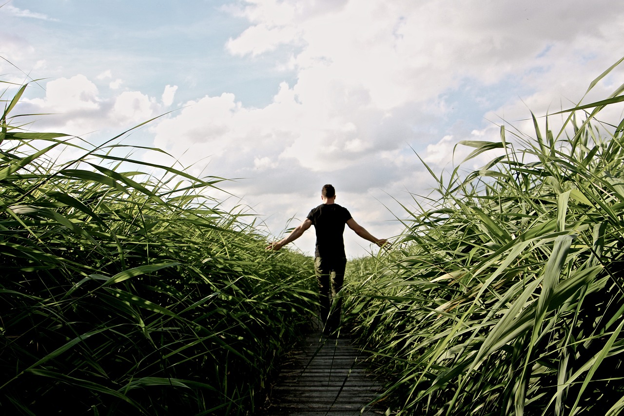 a man walking up stairs in a corn field