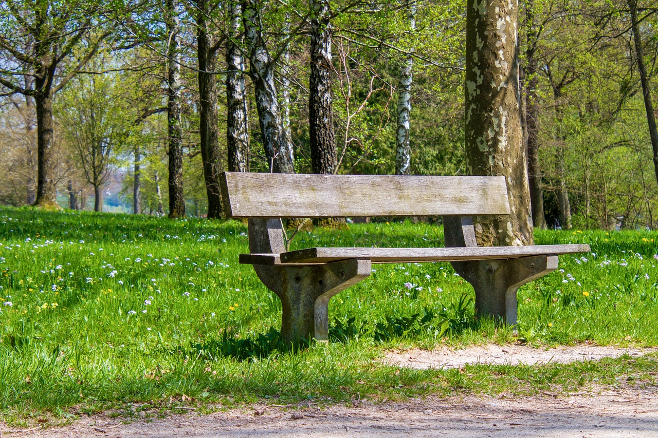 a wooden bench sits on a green field in a park