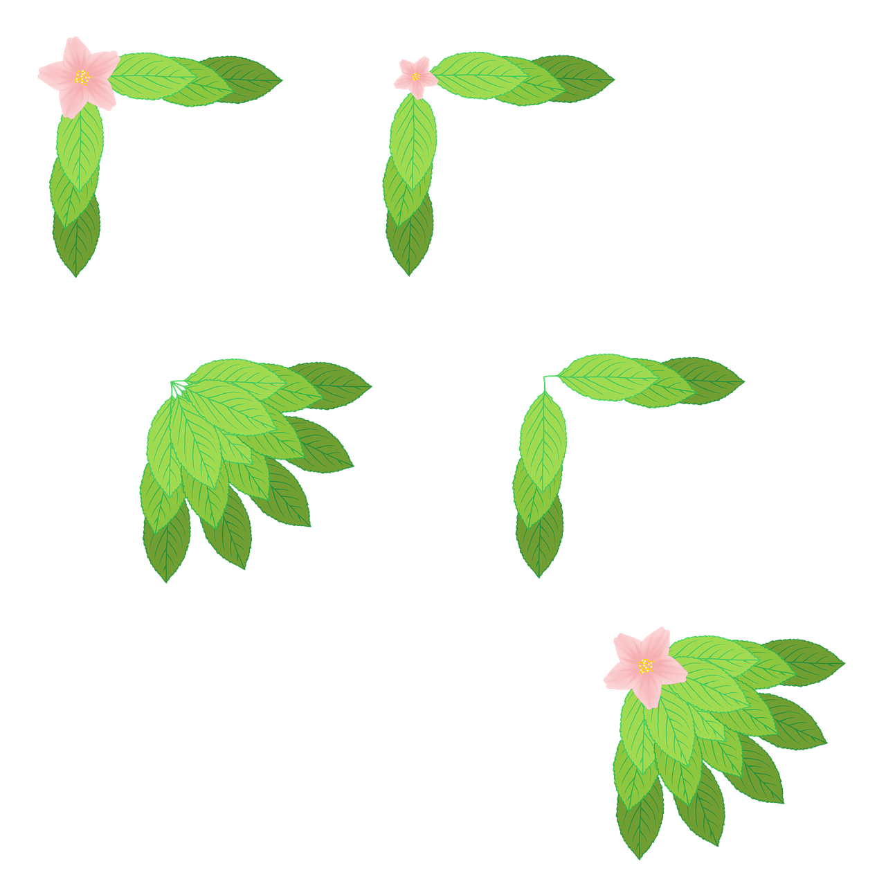 a picture of different leaves and flowers