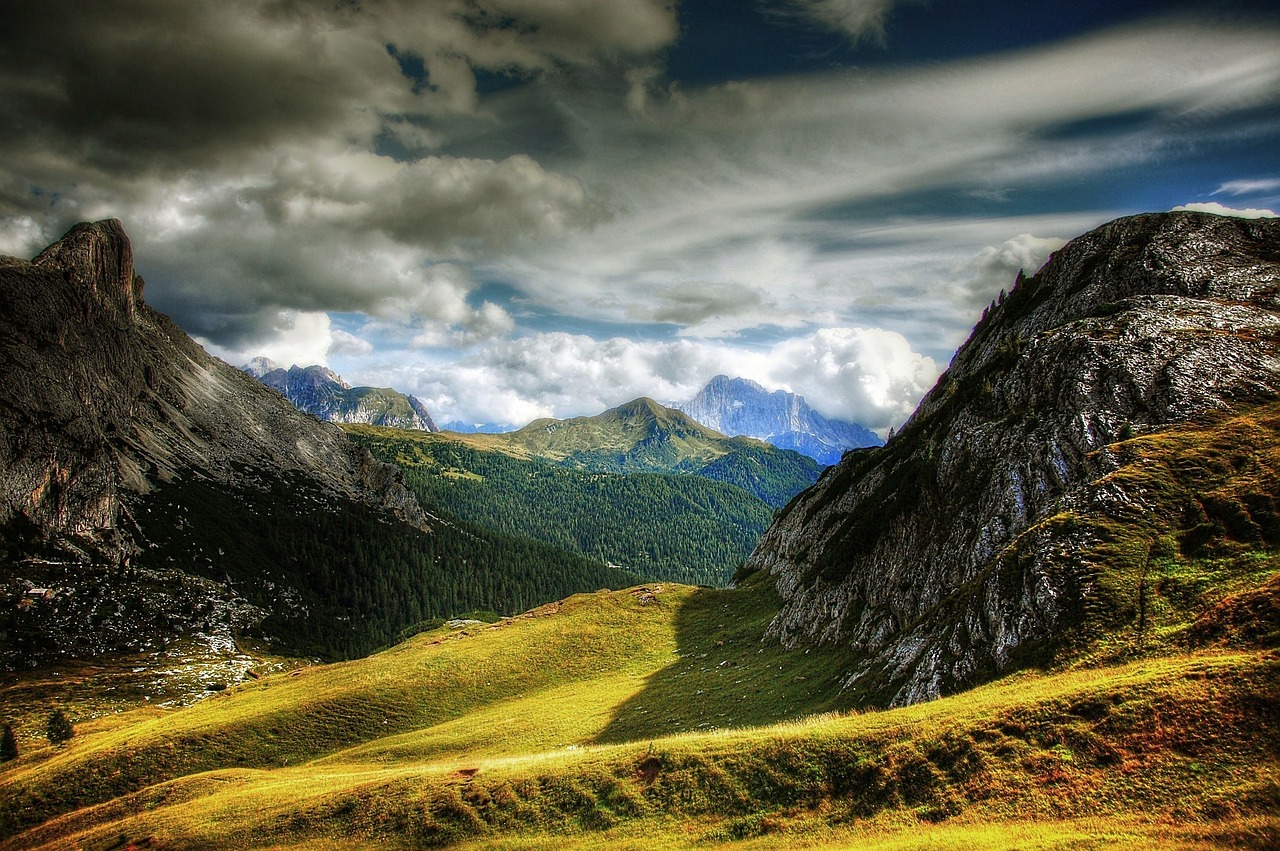 a grassy valley that has mountains and a few green trees