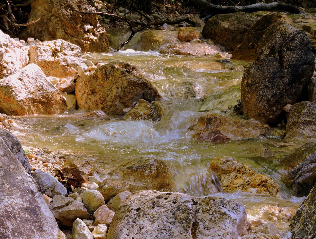 a small stream surrounded by rock and trees