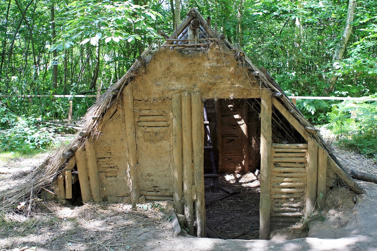 an earth - sheltered house is seen in the woods