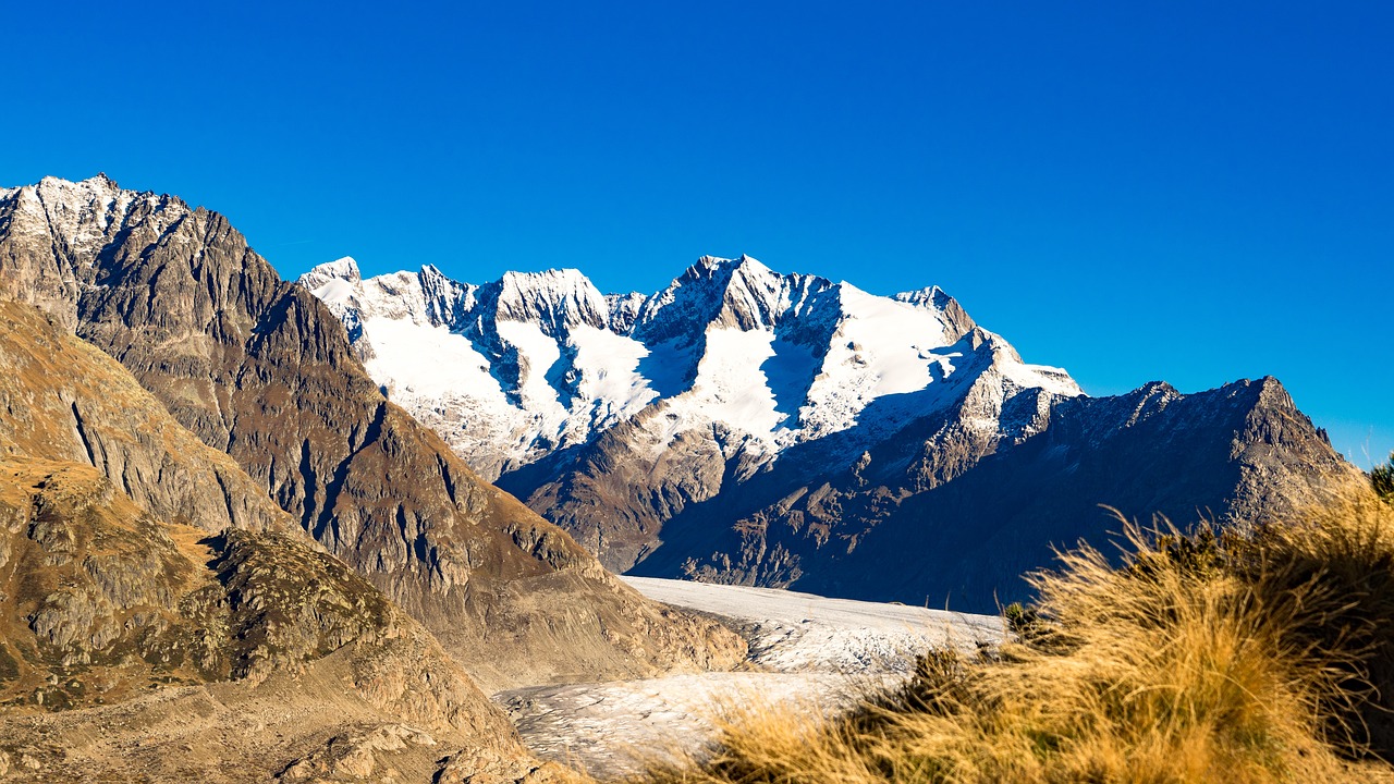 mountain landscape in the country with trees and grass