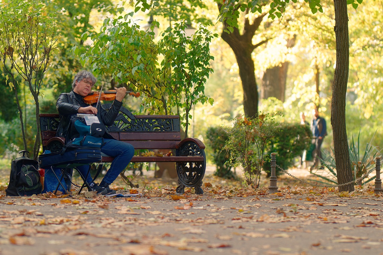 a person playing a violin on a park bench