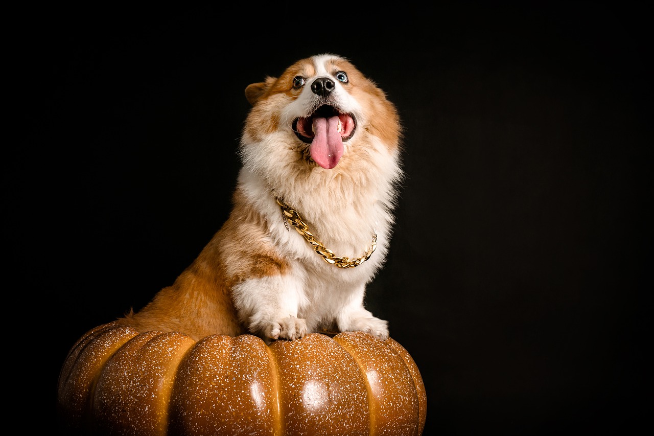 a dog standing on top of a golden statue