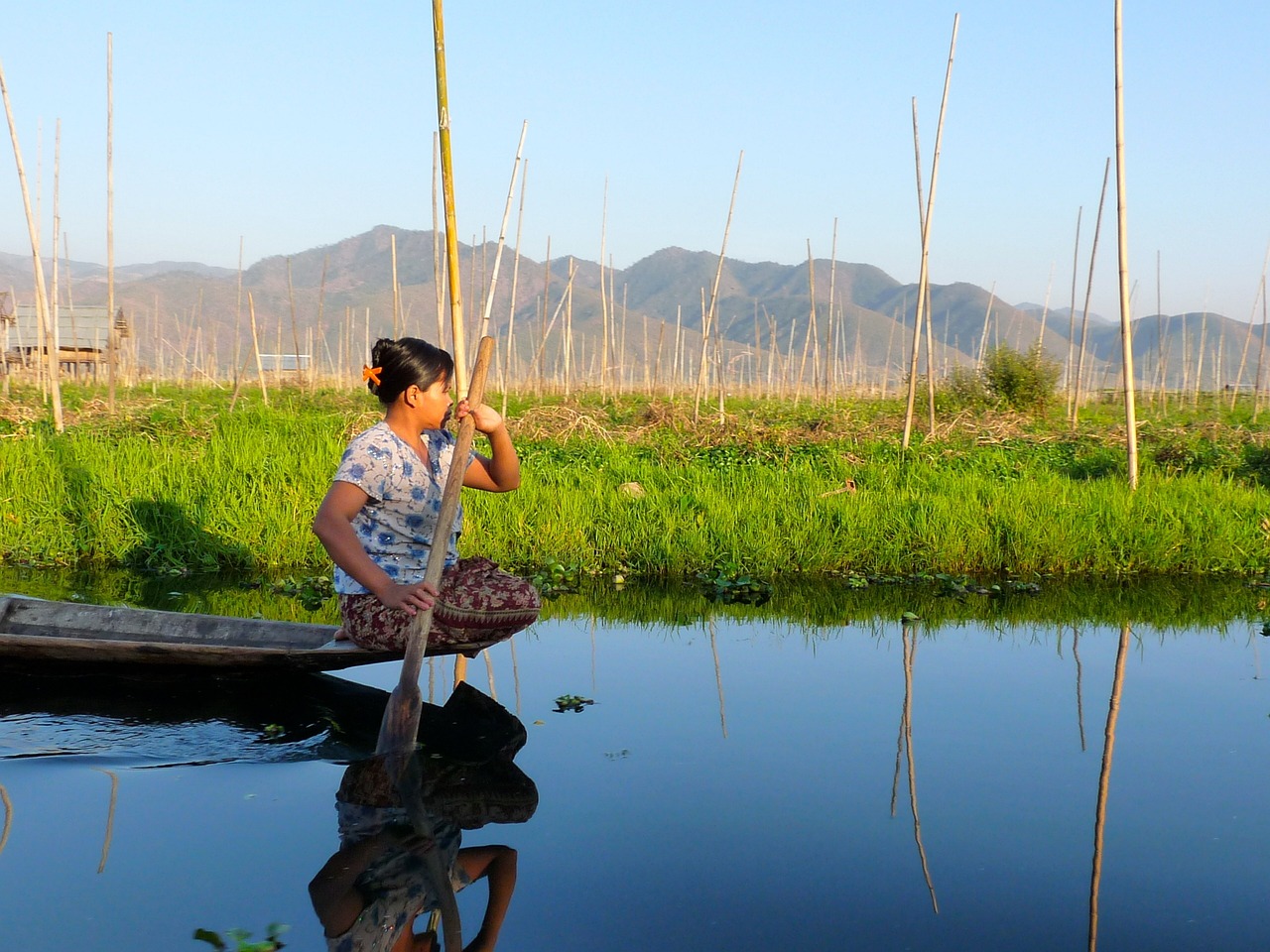 a woman stands in the middle of a river, surrounded by grass and reeds