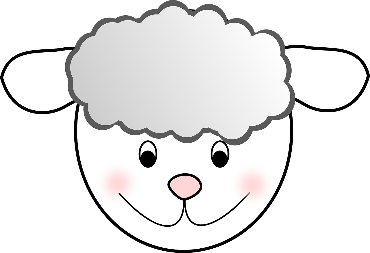 a sheep with an unkempt face on black