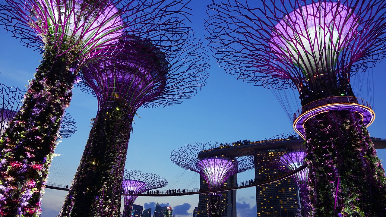 purple lights shine on the trees in singapore