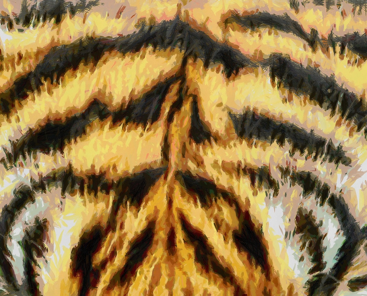 closeup pograph of ze's stripes in abstract pography