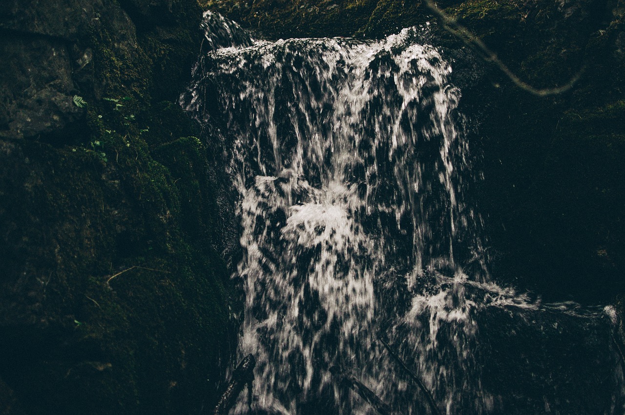 a close up view of a waterfall on a forest